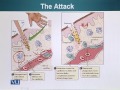 BIO734 Advances in Cell Biology Lecture No 65