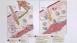 BIO734_Topic065
