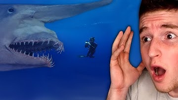 The Ocean Is WAY SCARIER Than You Think..