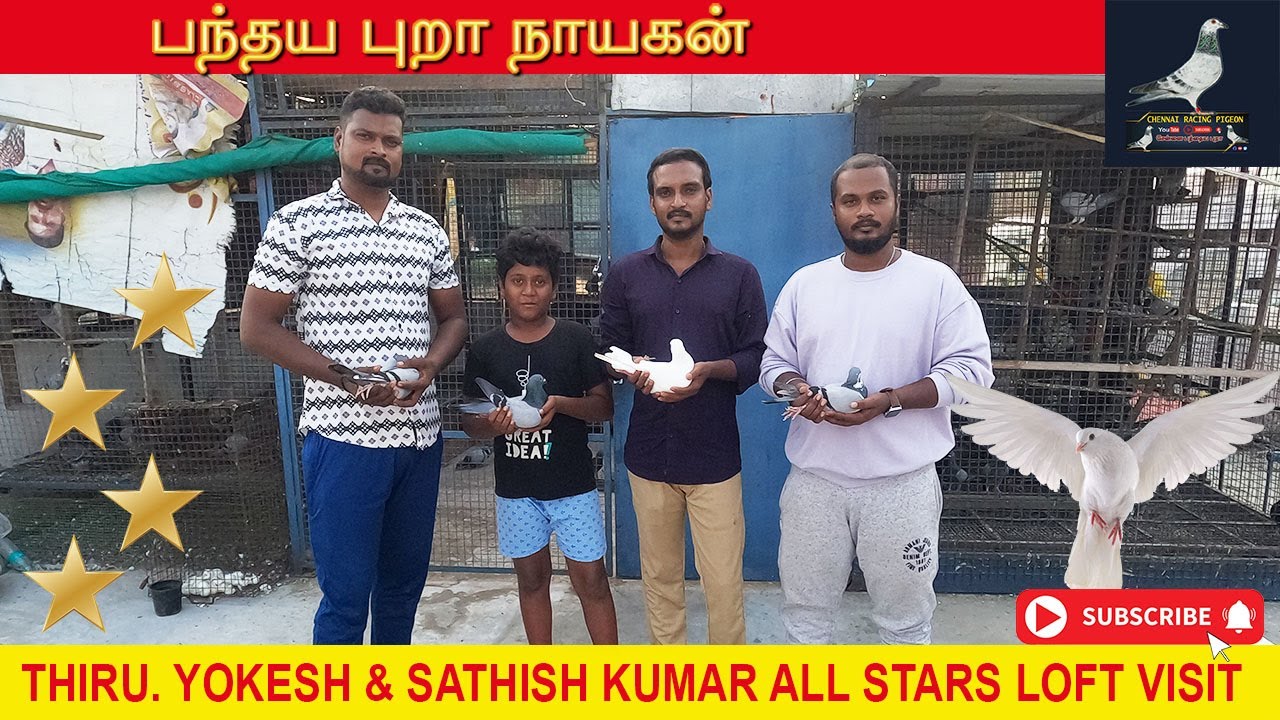 Thiru. Yokesh & Sathish Kumar All Stars Loft Visit | சென்னை பந்தய புறா நாயகன்
