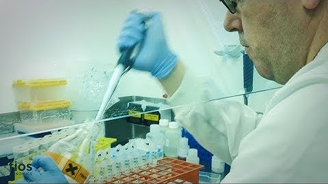 How we can help - Experimental Design