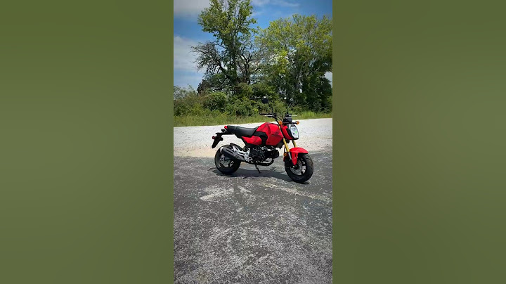 Test Ride the NEW 2026 Honda Grom 125 at Southern Honda Powersports! #honda #grom #minimoto #bike