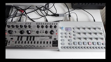 Elektron Model:Cycles & Behringer TD3-MO