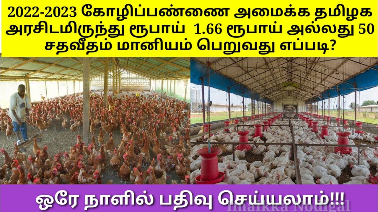 TAMILNADU How To Get Subsidy For Poultry Form tamilnadu-how-to-get-subsidy-for-poultry-form