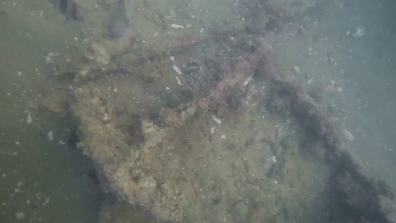 Chesapeake bay wreck diving - YouTube
