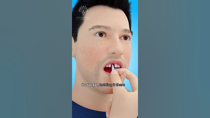 What to Do Immediately If Your Tooth Falls Out #shorts #teeth  - Creativelearning3d