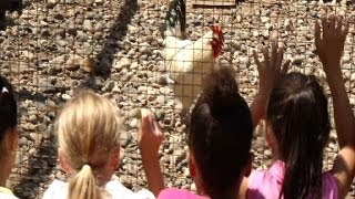 Northwest Cities:  Brooklyn Park Eidem Farm Summer Activities