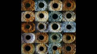 The Eyes Have it—Ophthalmic Photography, with Mark Maio