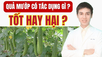Quả Mướp Có Tác Dụng Gì ? Thật Sự Tốt Cho Sức Khỏe Không ? | Dược sĩ Đạt
