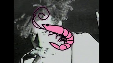 Rage Against the Machine - Killing in the Name But It