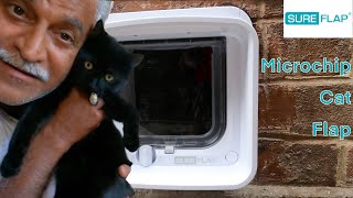 SUREFLAP MICROCHIP CAT FLAP DUALSCAN | REVIEW