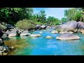24/7 Tranquil River Flow – Relaxing Water Sounds &amp; Green Noise for Better Sleep &amp; Calm