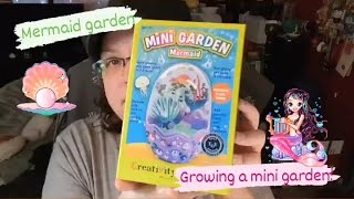 Growing a Mini Mermaid Garden Terrarium!