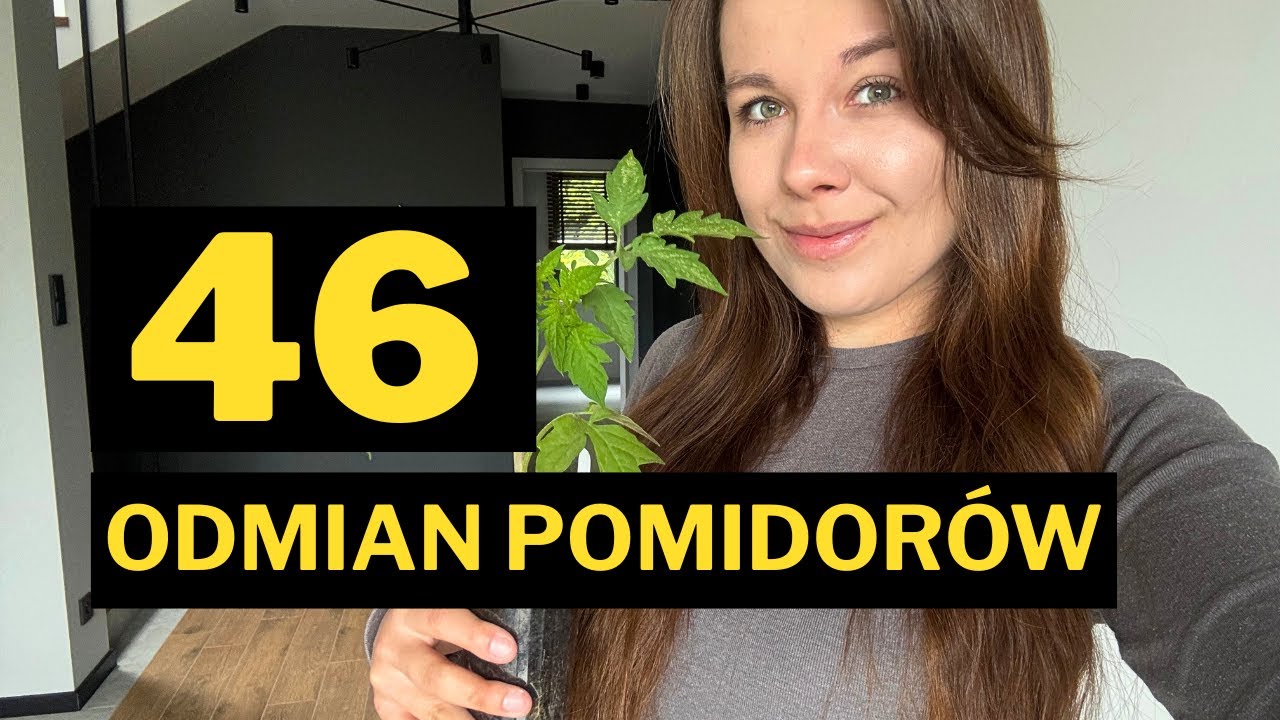 46 ODMIAN POMIDORÓW NA 2025 🌿PRZEGLĄD SIEWEK