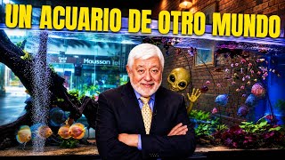 ASI SE RECUPERO EL ACUARIO DE JAIME MAUSSAN