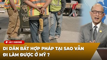 Thời Sự Thế Giới P3 (11-25-2025) Di Dân bất hợp pháp tại sao vẫn đi làm được ở Mỹ ?