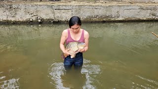 Fish catching skills, the girl went to the stream to catch fish with her bare hands