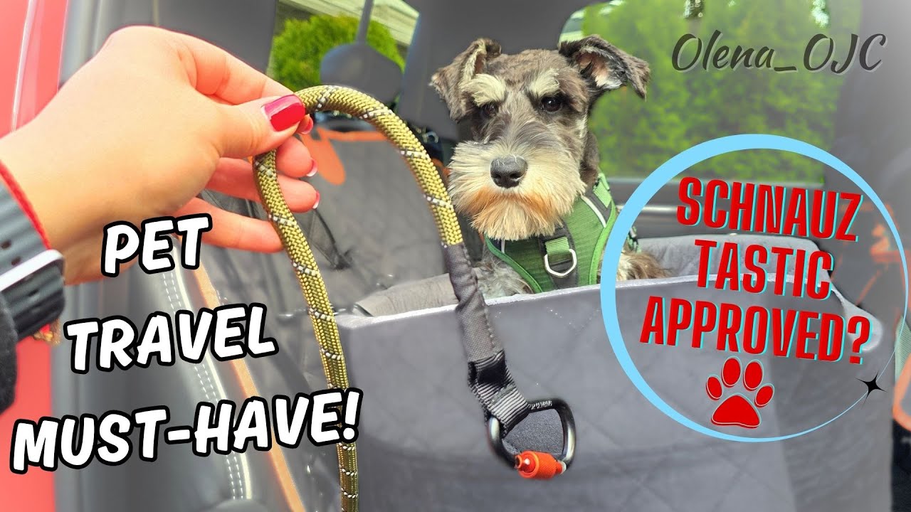 This Reflective Dog Seatbelt Keeps Our Pup Safe & Secure, Even on Long Car Rides!