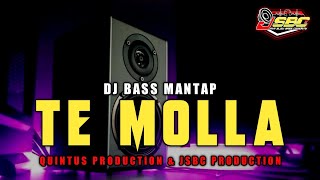Download Lagu DJ TE MOLLA BASS MANTAP COCOK BUAT TEMEN SANTAI TERBARU BY QUINTUS PRODUCTION & JSBC PRODUCTION Download Lagu DJ TE MOLLA BASS MANTAP COCOK BUAT TEMEN SANTAI TERBARU BY QUINTUS PRODUCTION & JSBC PRODUCTION