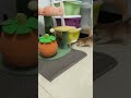 Cute meow cats 😻💞😻#cat #catlover #cute #kitten #meow #viralvideo #viralshorts