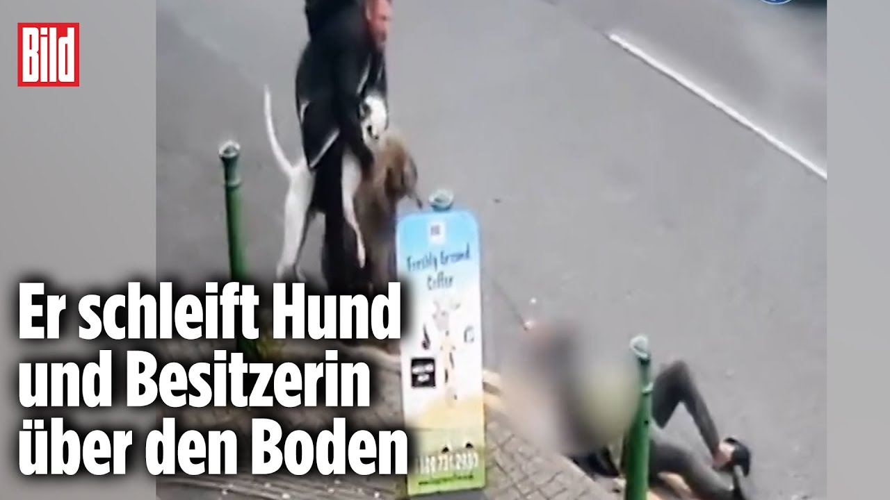 Bösartige Attacke: Kampfhund fällt Pudel und Seniorin an