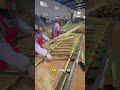 "Land of Bamboo Pillars"، "A Balanced Home in Nature"