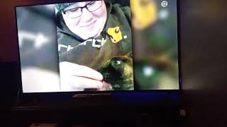 Afv men fighting inanimate objects vs dogs waking up treats