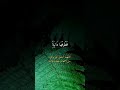 Heart Touching Recitation of Surah Al-Haqqah | Description of Paradise ✨