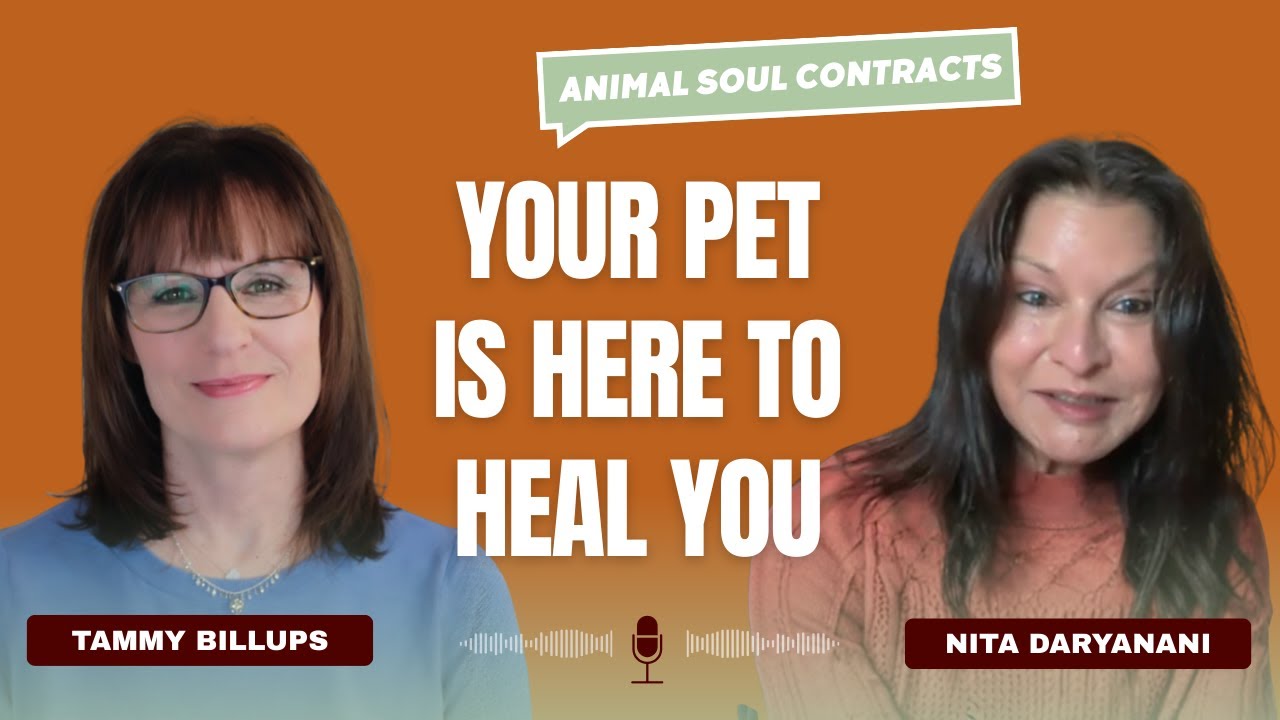 The Hidden Soul Contract Between You and Your Animal Companion | Tammy Billups