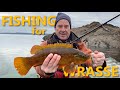 Fishing for Wrasse - non stop hard hitting, rod bending action