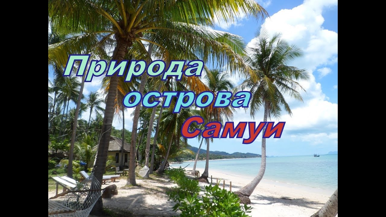 Природа острова Самуи. Nature of Koh Samui