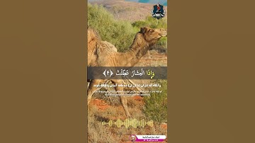 "سوره تکویر (آیات ۱-۷) - پایان دنیا و قیامت در قرآن" _ استاد شیخ عبدالباسط  #تلاوت_قرآن