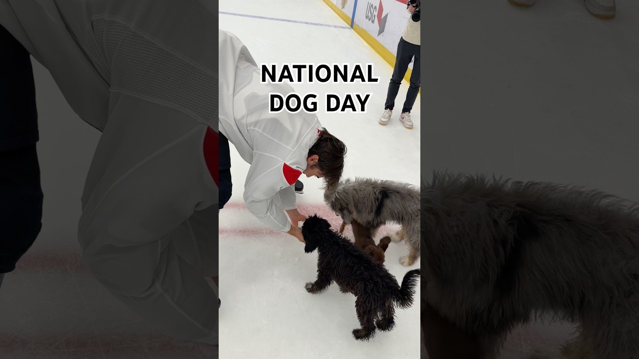 takes a dawg to know a dawg 🐾 #nhl #alexvlasic #hockey