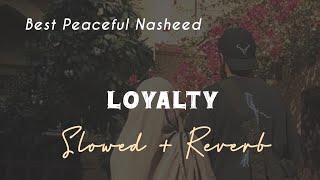 Loyalty Nasheed ( Slowed   Reberb ) Peaceful Nasheed | Zaid Writex
