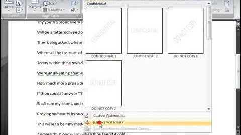 Microsoft Word 2007 ENG TB 05 12 Insert a Watermark