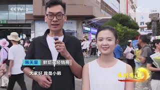 《生财有道》 20250815 直播浇灌“花经济” 流量变现“金百合” |  财经风云