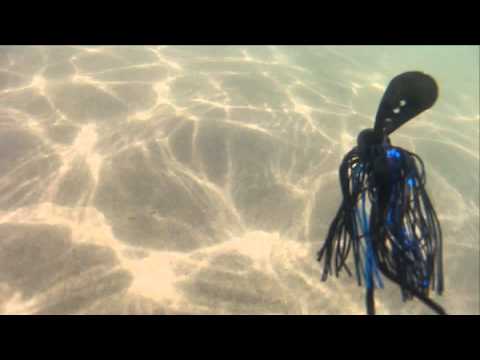 strike king chatterbait