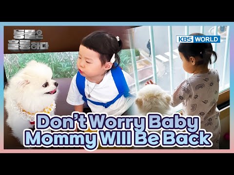 Reasons to Raise Your Kids <strong>with</strong> <strong>Pets</strong>🥰 [Animals Are Incredible : EP.14-1] | KBS WORLD TV 250402