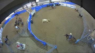 Big Sky Ranch Sorting Saddle Series #4 - #7 SORT - Round #2 - Ride #10