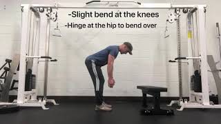 Famous Bent Over Reverse Flys Profile