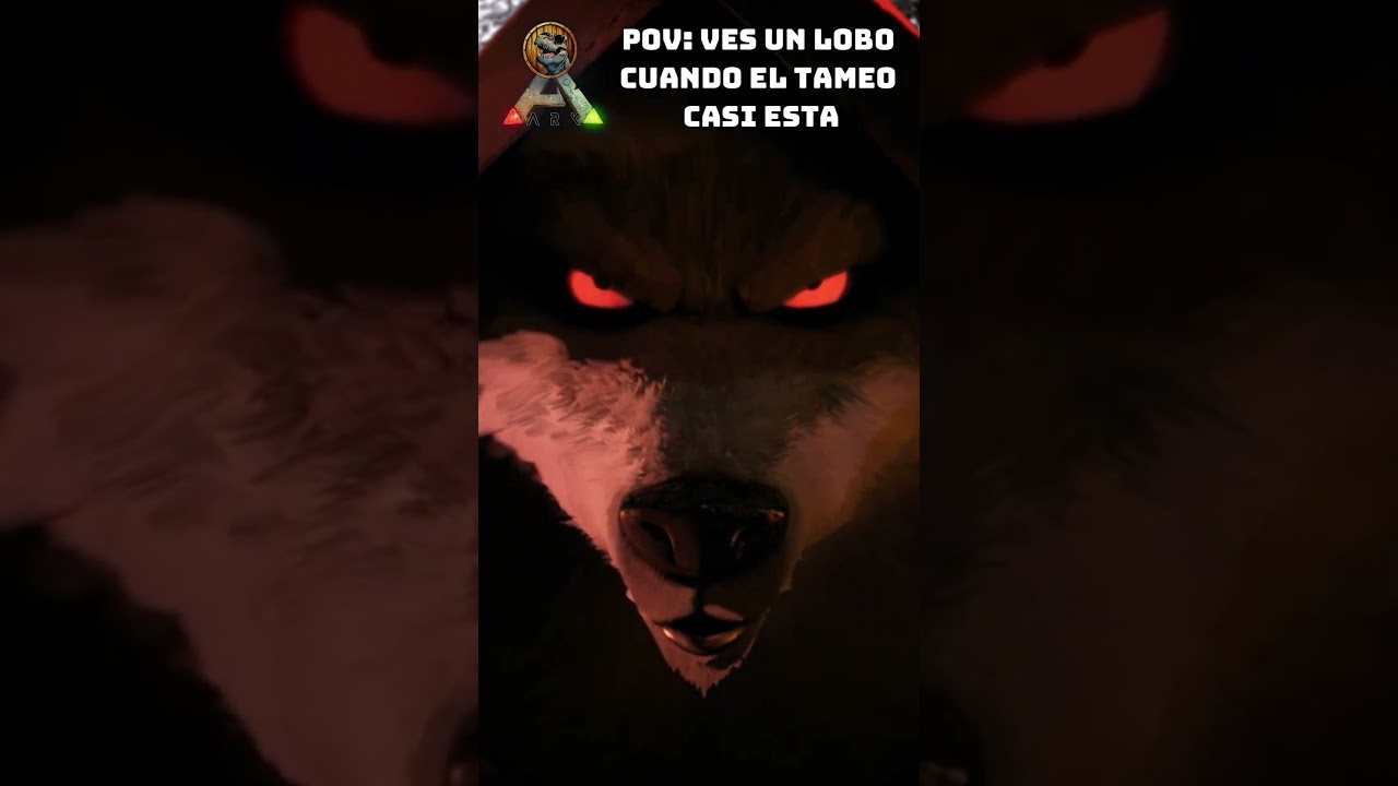 Cuidado con los lobos en 