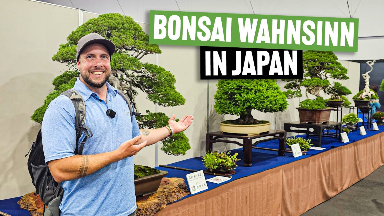 EXPO Osaka: Diese Bonsai sind einfach NICHT VON DIESER WELT! #306