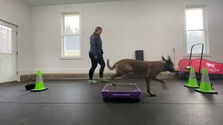 Klepto: Movement Puzzles Exercise # 4