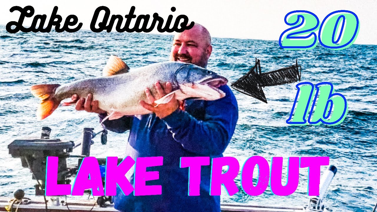 HUGE LAKE TROUT and KING SALMON Lake Ontario YouTube