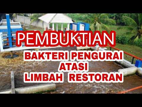 Video: Apakah pengurai memakan produsen?