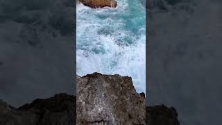 IMG 4444