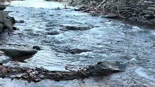 Nature Pause — Flowing River (3 Minutes)