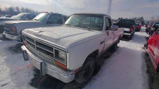 Junkyard Cherries- For a dodge, this old 1st gen Ram is pretty clean