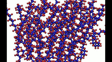 Polymer chain adsorption and organization on SWCNT: Molecular Dynamics Simulations