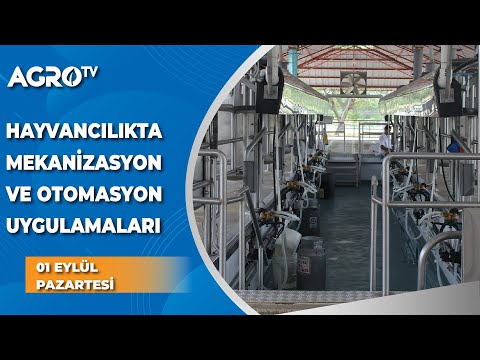 Video: Tarımda yaygın otomasyon nedir?